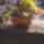 Img_20120809_173248_1881317_4615_t