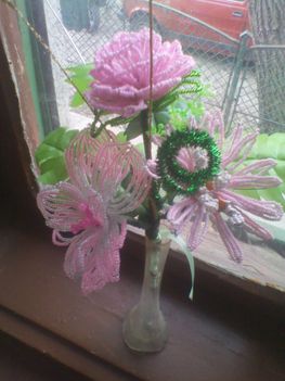 IMG_20131205_105217