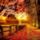 Oszi_naplemente1065_1881510_7814_t