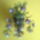Fenykep2195_1882956_7944_t