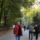 Kovaszna_es_faogarasi_havas_172_1882088_5982_t