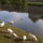 Kovaszna_es_faogarasi_havas_342_1882110_8343_t