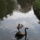 Kovaszna_es_faogarasi_havas_350_1882111_3961_t