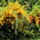 Pa102820_1882625_4453_t