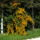 Pa102824_1882632_2379_t
