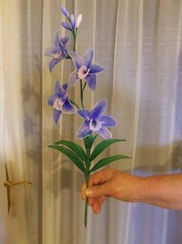 kétszínű orchidea