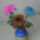 Rozsak-020_1883592_4117_t