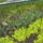 A_paradicsom_helyen_hagyma_es_salata___2014_10_15en_1884161_4207_t