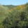 Kovaszna-005_1884500_8883_t