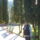 Levegokura_1884497_3869_t