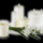 Emlekezzunk_meg_halottainkrol_1885680_6712_t