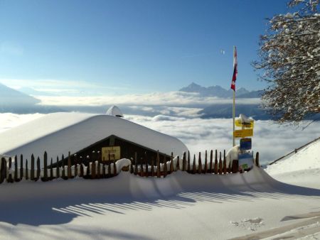 Höttinger Alm (Tirol)