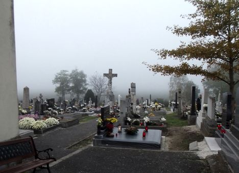 DSCF2705