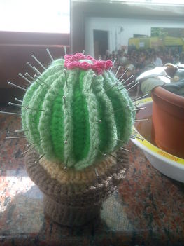 kaktusz_tüskével