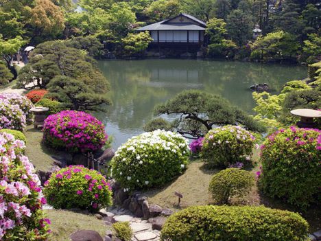 A nyugalom kertje  - Japán