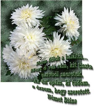 Fájó szívvel, szeretettel, emlékezem drága jó szüleimre.