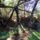 Malomkotanosveny_poganykut-002_1887670_3846_t