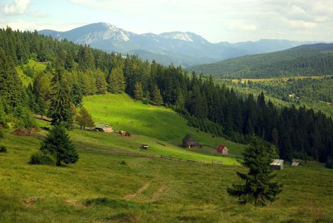 El innen rablók, - ez az én hazám!