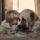 Elmondod_a_titkod_1888291_6769_t