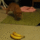 Leghulyebb_allatok080gif_1888768_6503_t
