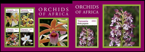 Orchideák 2