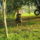 P1010177_1888745_7691_t