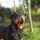 P1010180_1888744_7998_t