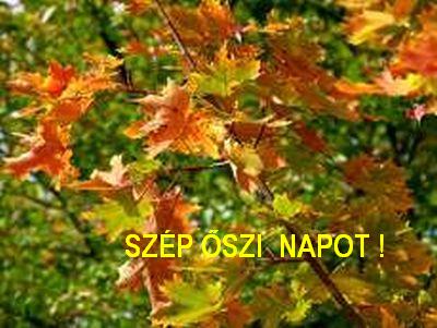 Szép őszi napot!