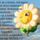 Nem_az_a_fontosmit_kapsz_1889567_9218_t