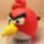 Angry_birds_1808278_8817_t