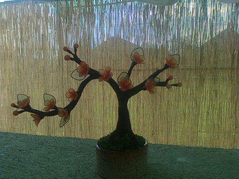 Bonsai fa, ahogyan én készítem 7.