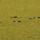 Dur_a_diszno__1880139_5574_t