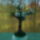 Feher_viragos_1880119_9166_t