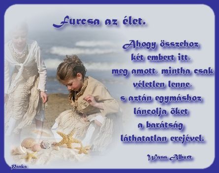 Furcsa az élet