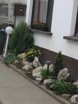 Kép 2008.04.17 026