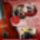 Plakat__1880338_3077_t