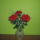 Rozsak-025_1808705_1683_t