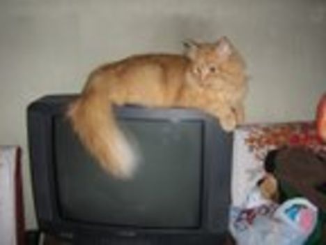 szonja-1-kép: ENGEM NÉZZ! Ne mindig az a vacak tv-t!