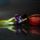 Tulipanok-001_1088755_2419_t