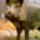 Vadd1_188270_60261_t
