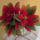 Dscf6028_1891297_4163_t