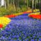 Keukenhof