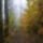 Szelkoto__parti_setany-003_1891462_7883_t