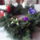 Advent_1893054_5172_t