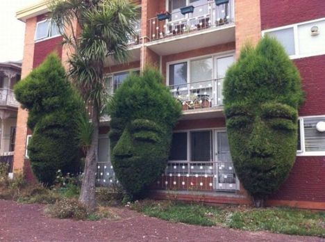Kreatív a kertész!