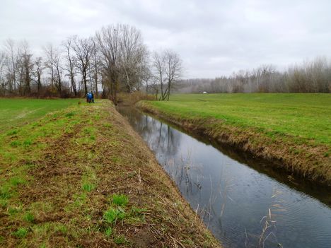 A Kisbodaki csatorna vízpótlását a Zátonyi-Dunából a Pontyos-Örvényi csatorna biztosítja, 2014. december 08.-án
