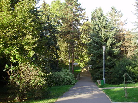 balfi park részlet