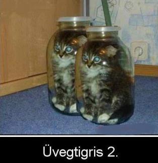 Üvegtigris-2