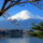 Japan_1896507_8204_t