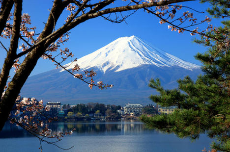 mt-fuji-day-trip-including-lake-ashi-sightseeing-cruise-from-tokyo-in-tokyo-115676
